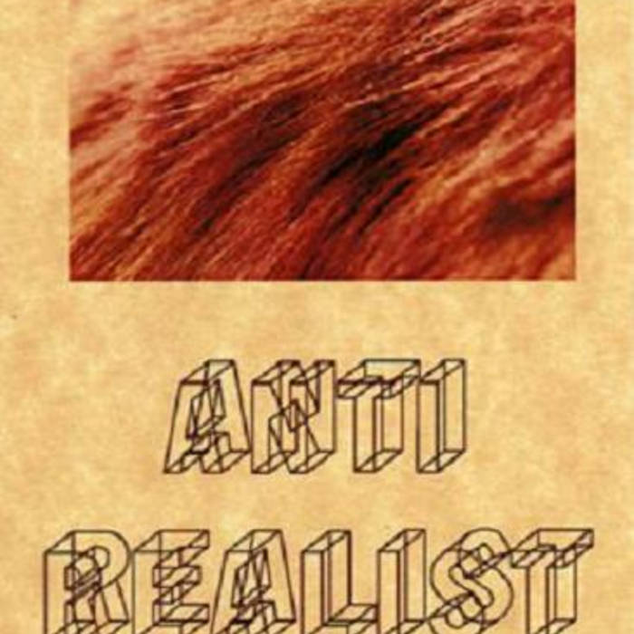anti-realist anti-realist